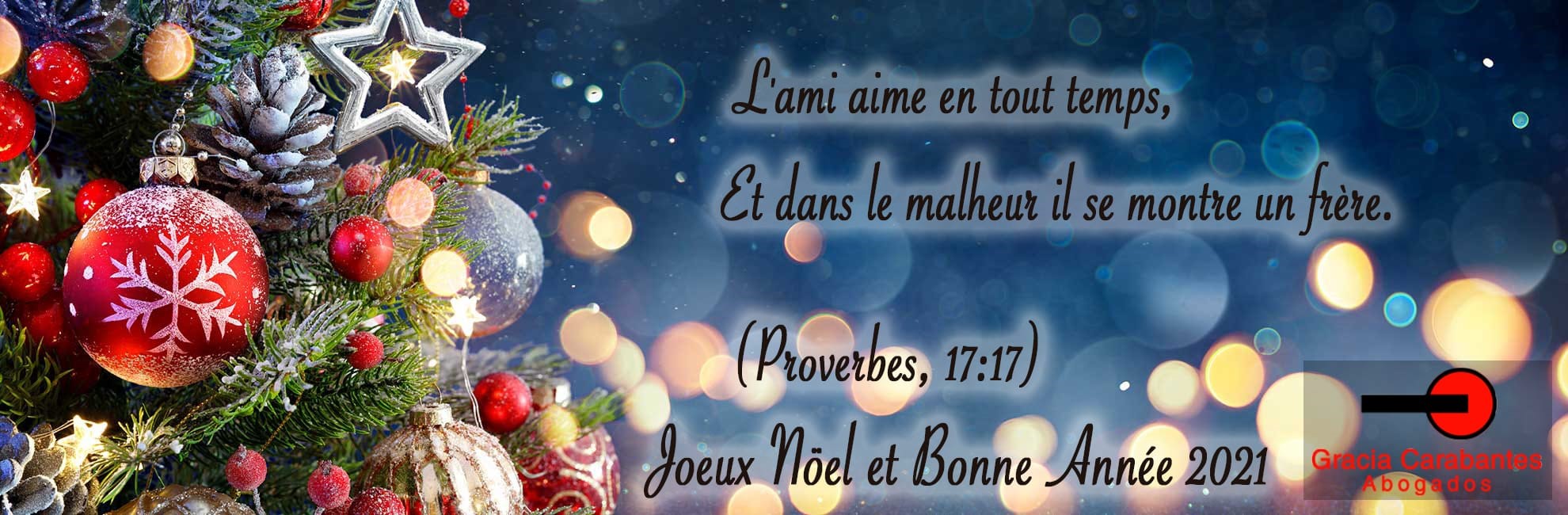 Gracia Carabantes Abogados vous souhaite Joyeux Noël et Bonne Année 2021